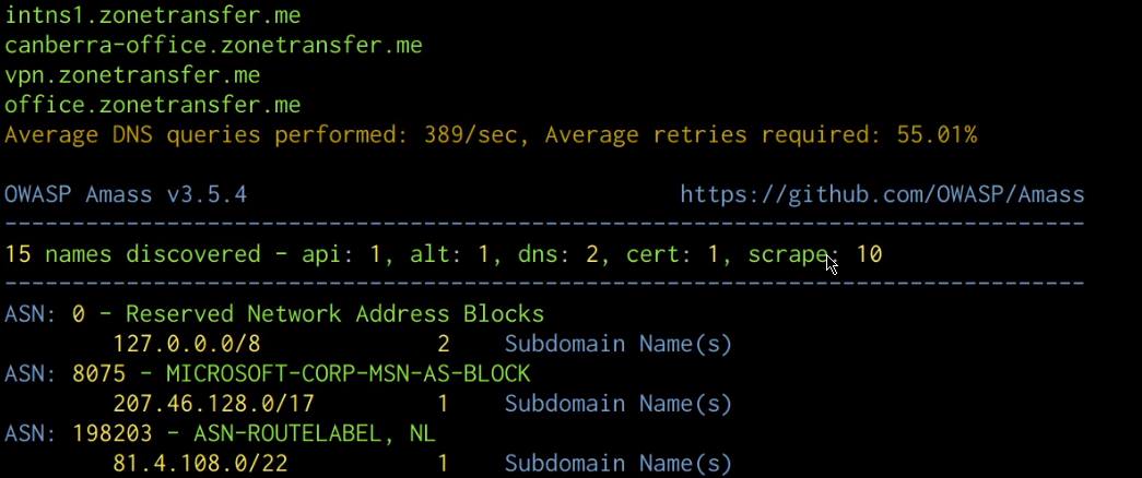 Amass subdomain enumeration output